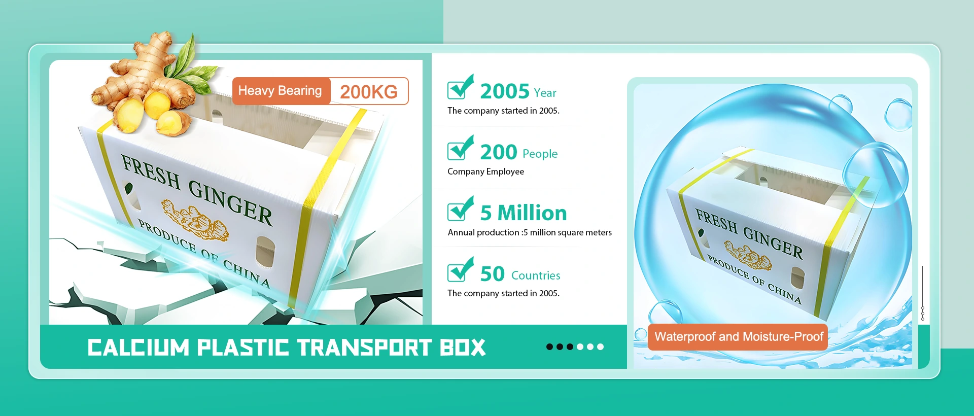 Kitajski proizvajalec škatlic za kalcijevo plastikovo plastiko